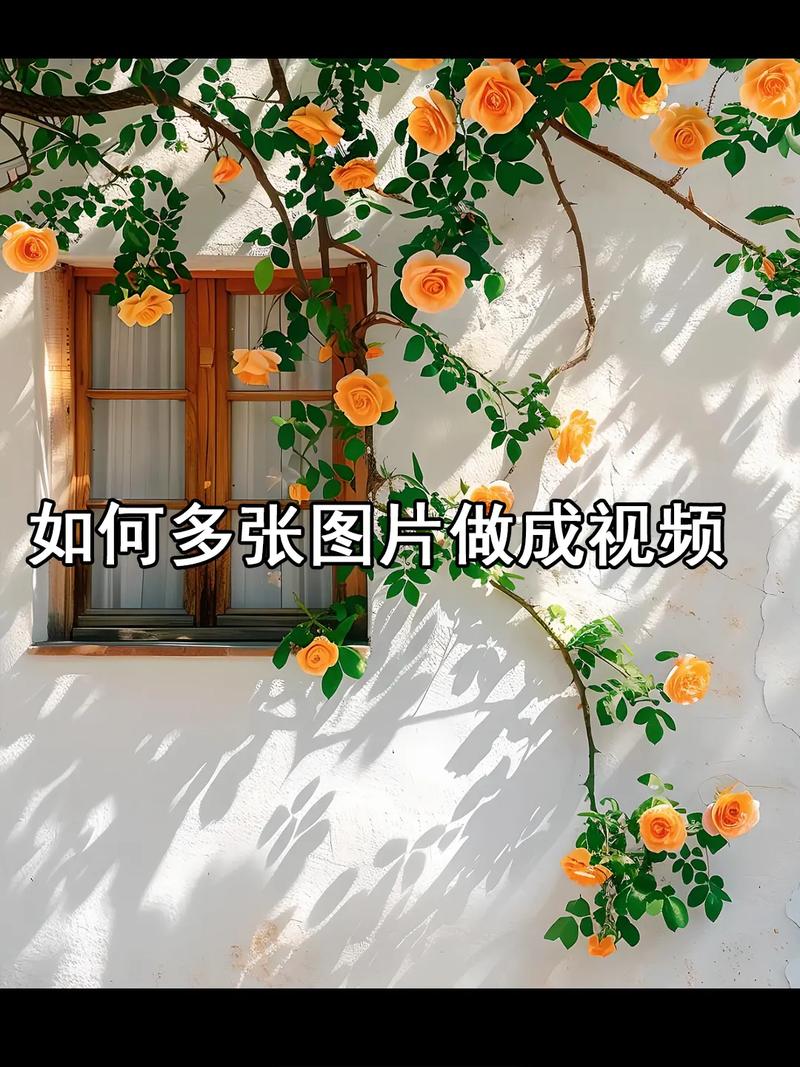 短视频制作主页怎么做好