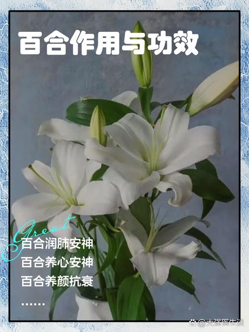 百合的短视频怎么制作出来的