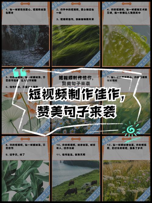 一句话短视频怎么制作的好看