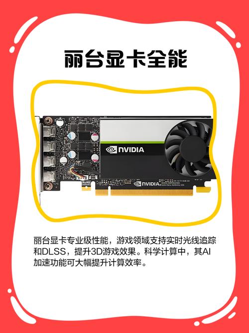 丽台显卡ai模型怎么用
