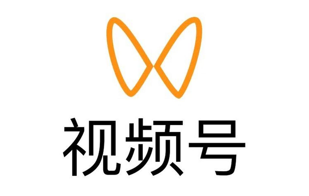 logo一直显示在短视频里怎么制作
