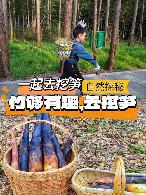 挖笋顺口溜制作短视频怎么做