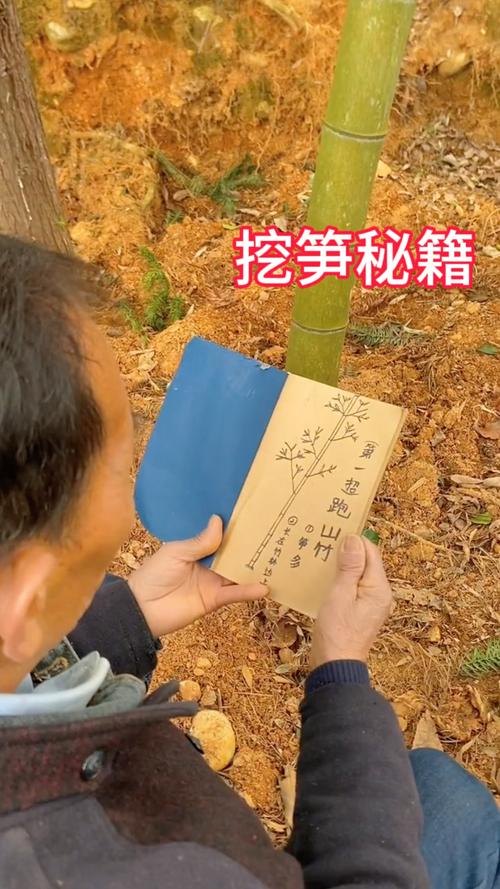挖笋顺口溜制作短视频怎么做