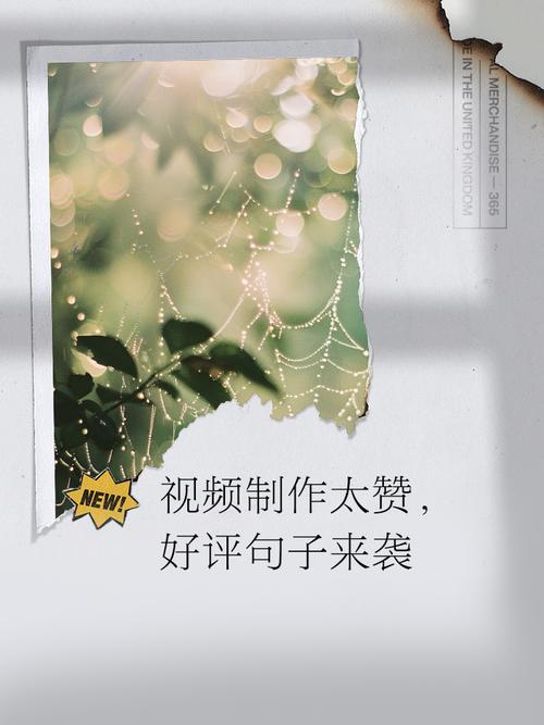 一句话简短视频怎么制作