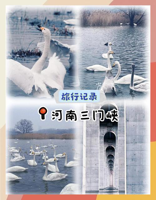 三门峡短视频制作怎么做