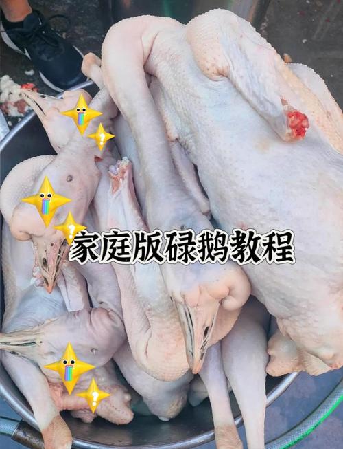 熏鹅短视频制作流程图怎么做