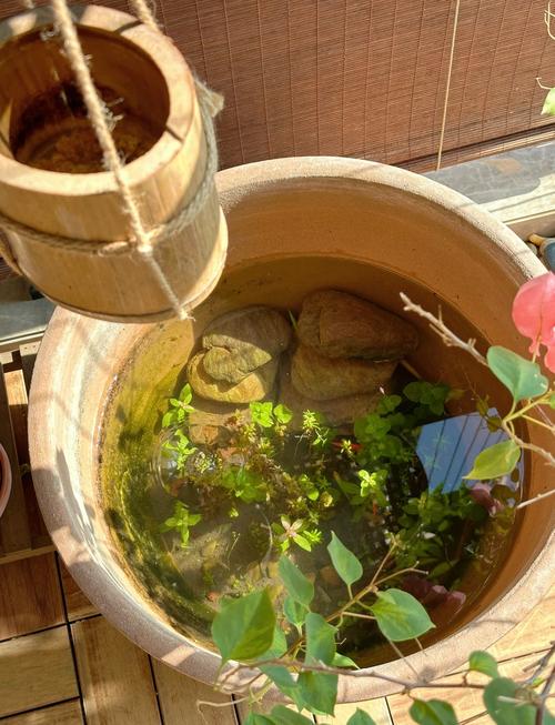 短视频一滴水怎么制作的
