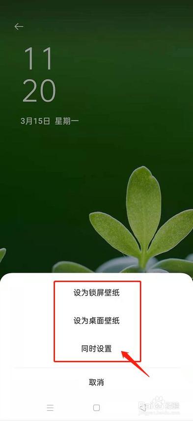 如何在oppo手机里设置为桌面壁纸