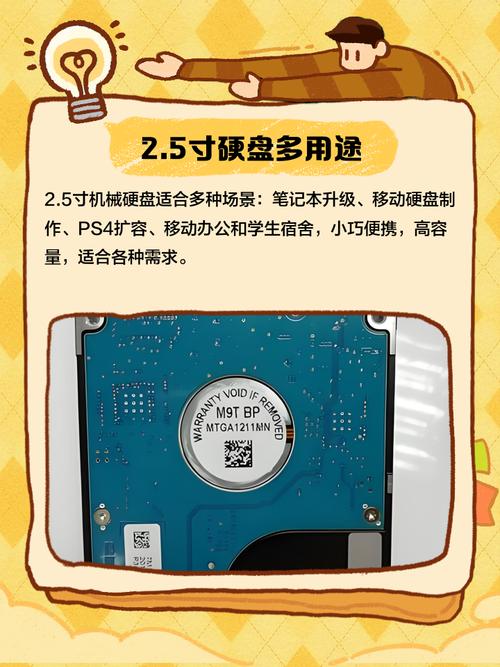 ai绘图模型硬盘怎么用