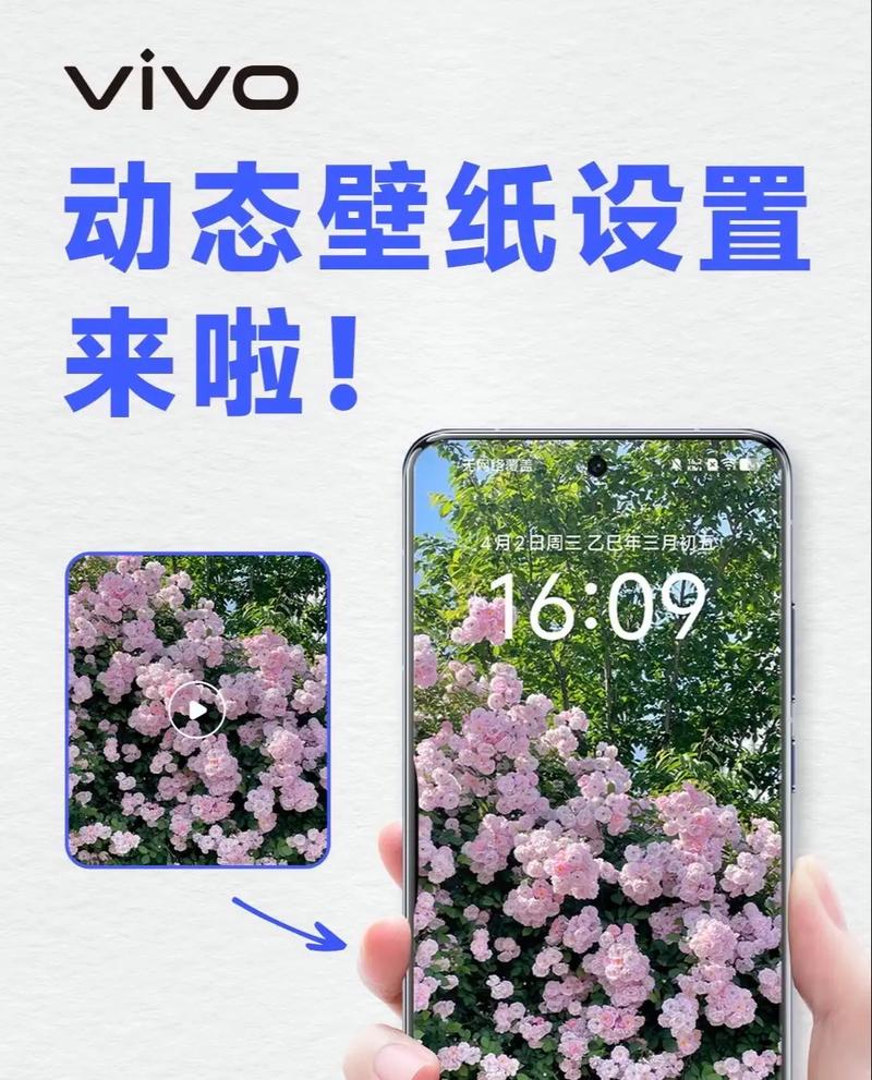 vivo手机如何将截屏设置为壁纸