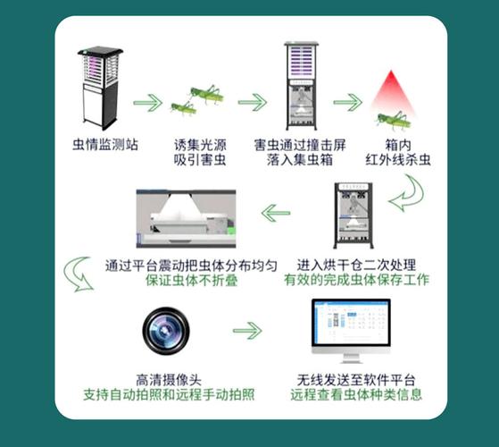 害虫ai模型分析怎么写