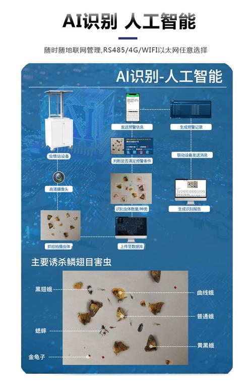 害虫ai模型分析怎么写