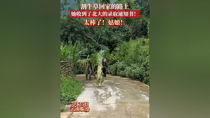 女孩割完牛草路上收到北大通知书