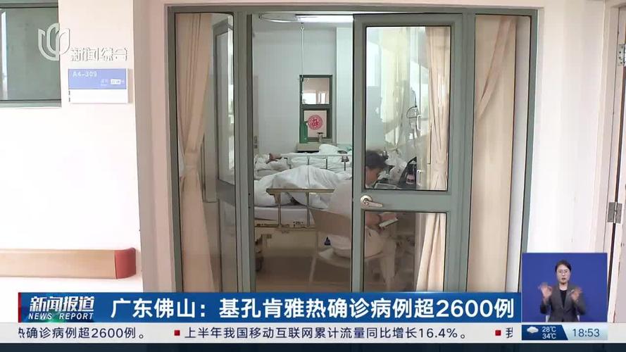 广东佛山新增确诊基孔肯雅热351例