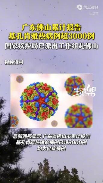 广东佛山新增确诊基孔肯雅热351例