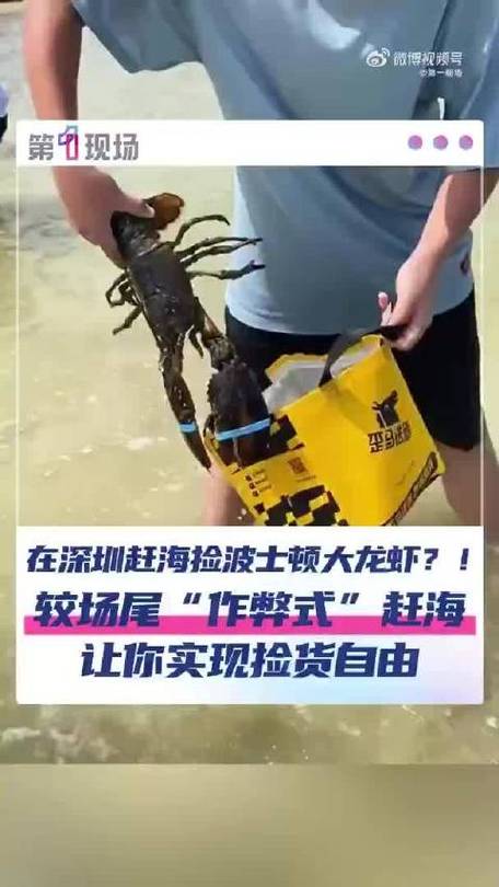 深圳一海滩现“作弊式”赶海