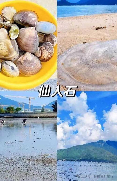 深圳一海滩现“作弊式”赶海