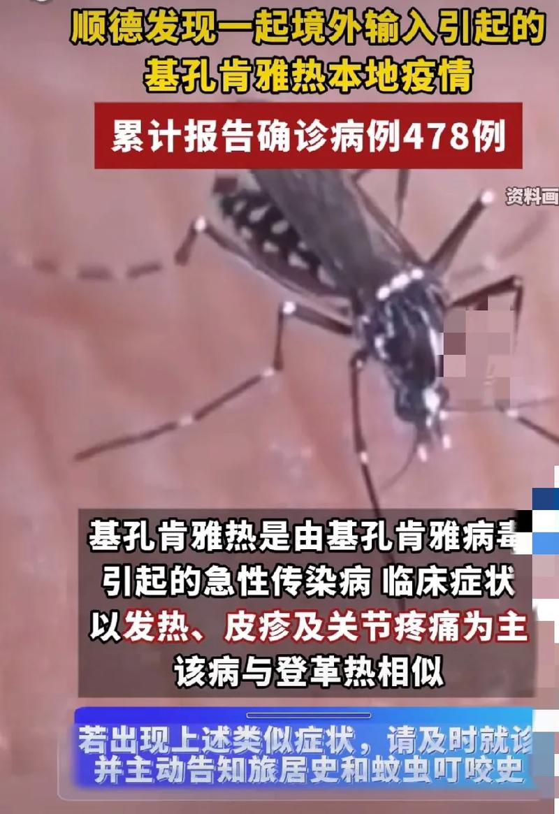 专家:全球已近30万人感染基孔肯雅热
