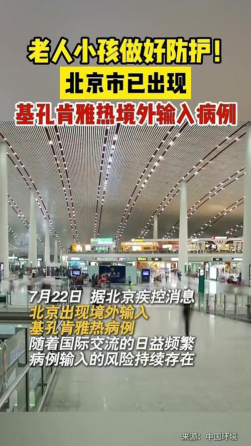 专家:全球已近30万人感染基孔肯雅热