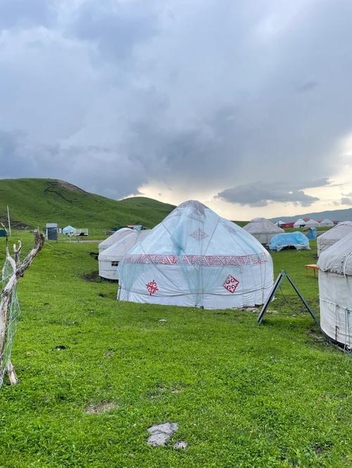 女子住蒙古包 一觉醒来洪水淹到床板