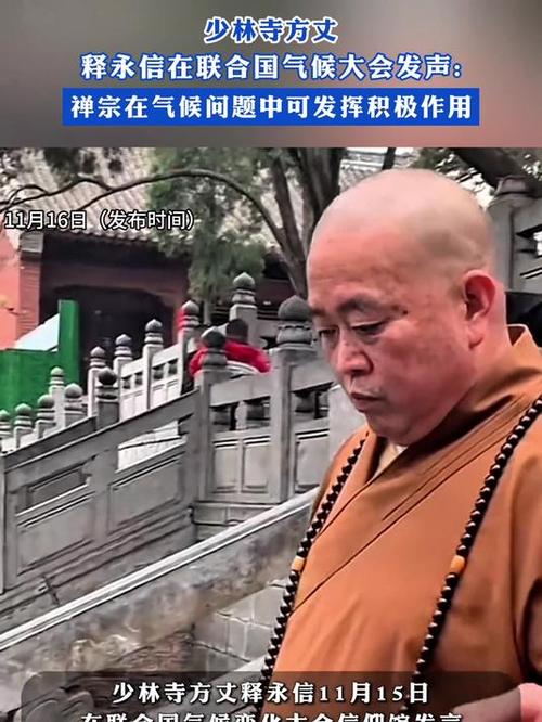 少林寺:释永信正接受联合调查