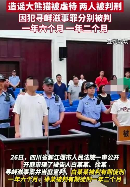 夫妻假扮熊猫粉造谣敛财被判刑
