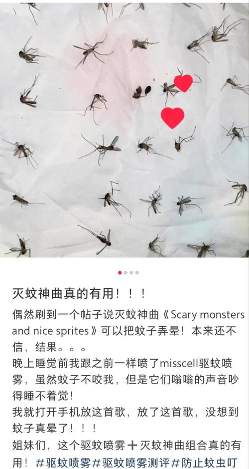 广东灭蚊next level:放蚊子吃蚊子