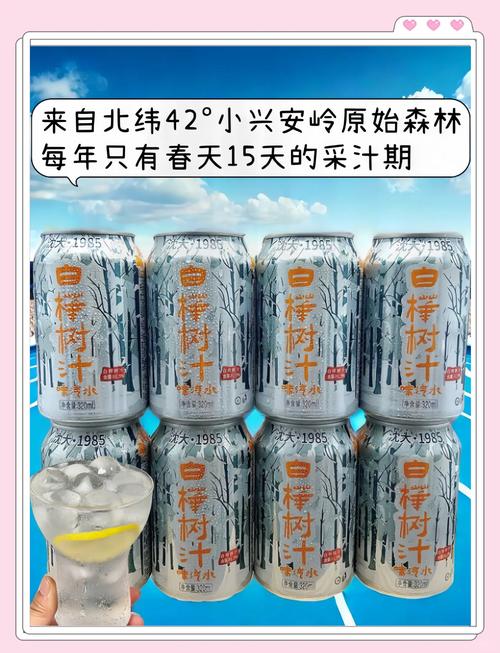 白桦树汁变身“液体黄金”
