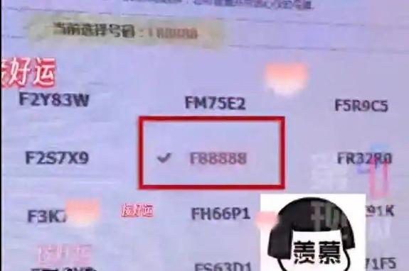 女车主摇中88888车牌 有人出价110万