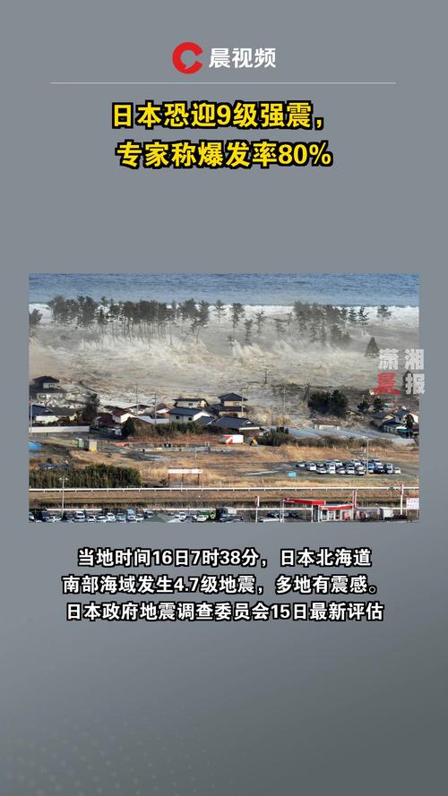 日本海啸来袭 居民跑向避难所