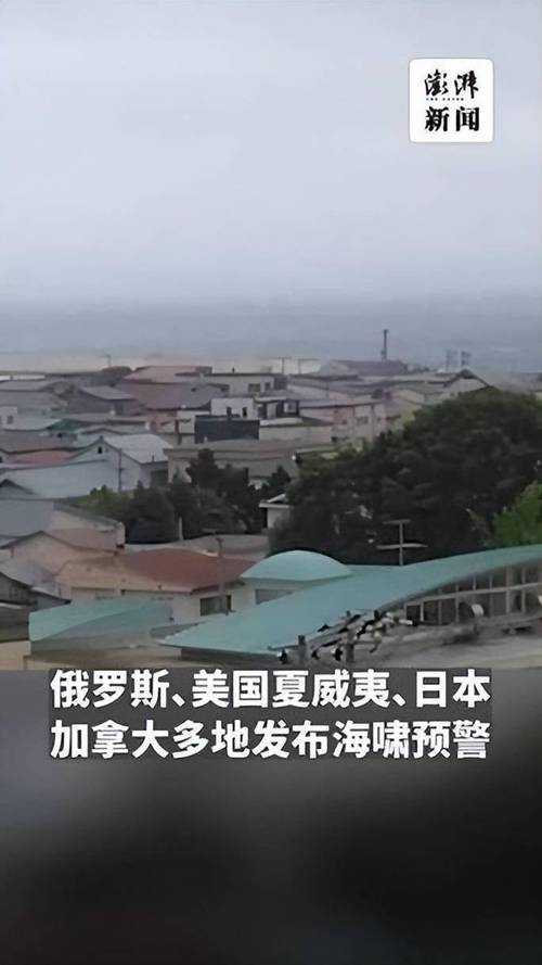 海啸抵达日本:民众挤满屋顶