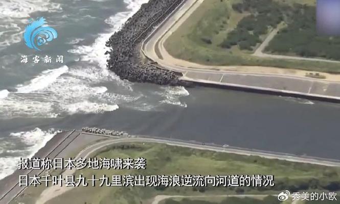 海啸抵达日本:民众挤满屋顶