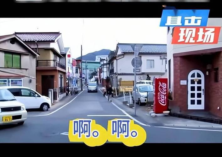 海啸抵达日本:民众挤满屋顶