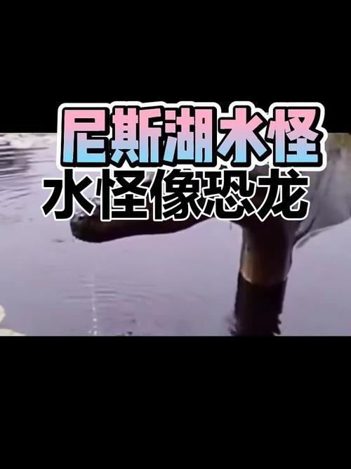尼斯湖水怪再次被拍到