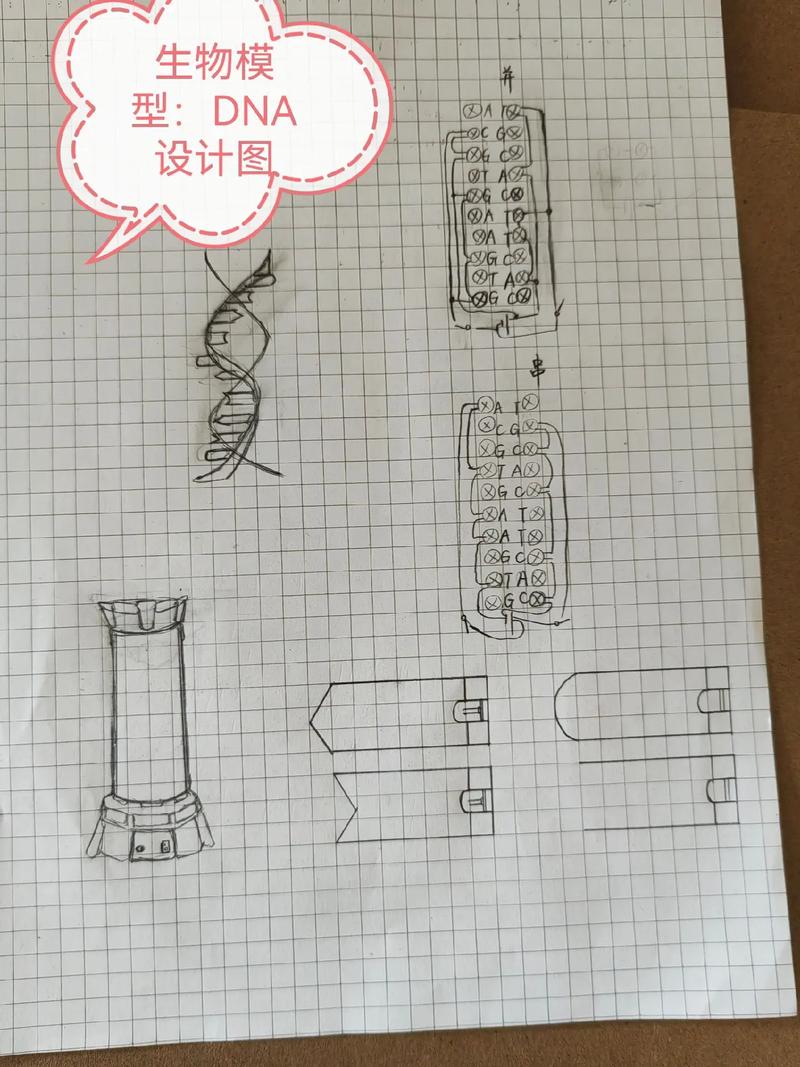 怎么用ai做dna模型