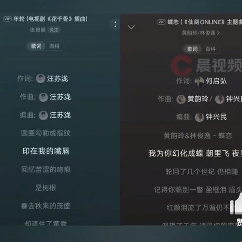 《年轮》被指抄袭