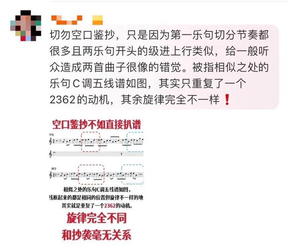 《年轮》被指抄袭