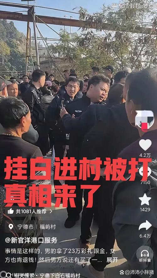 陆配村长遭台当局解职 村民抱不平