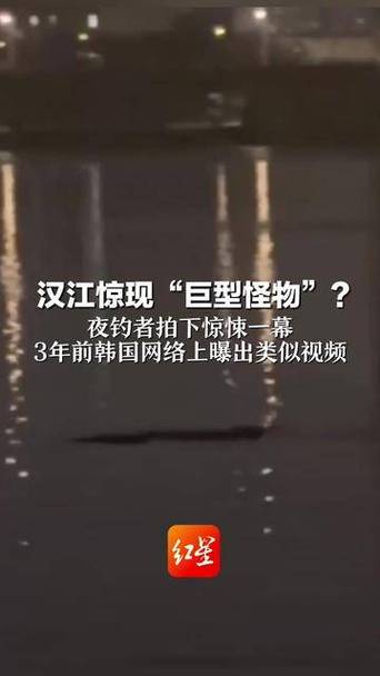 汉江现巨型怪物?夜钓者拍下惊悚一幕