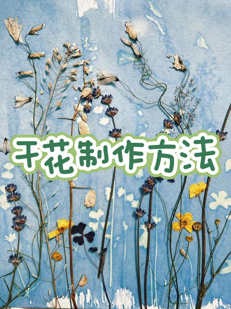 花的制作抖音短视频怎么做
