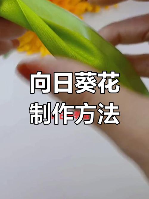 花的制作抖音短视频怎么做