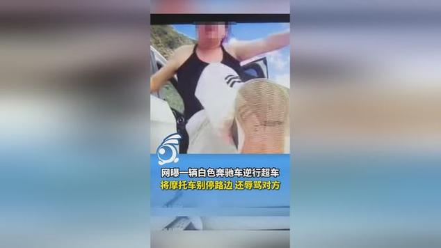 甘南一奔驰逆行超车 别停并辱骂骑手