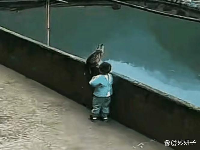 小孩多次甩飞捶打小猫致死