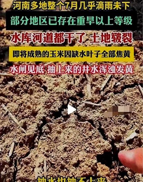 河南局地遇旱 土地干到铁锹挖不动