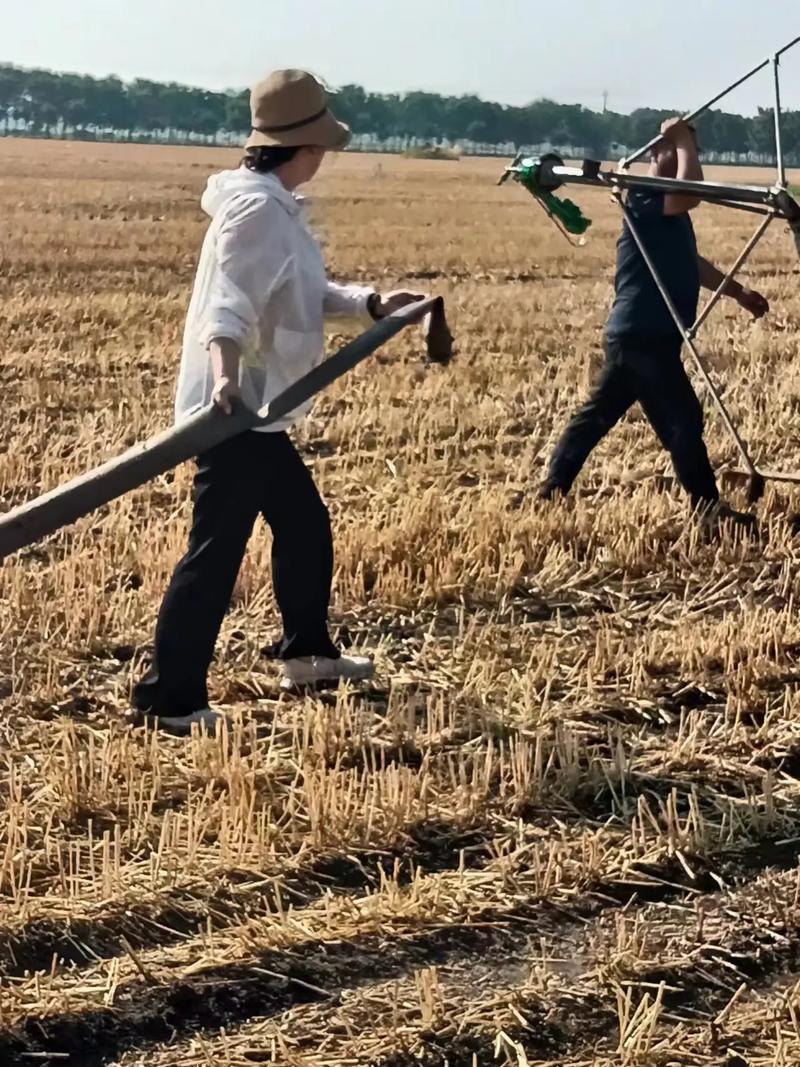 河南持续高温 农户凌晨排队浇地