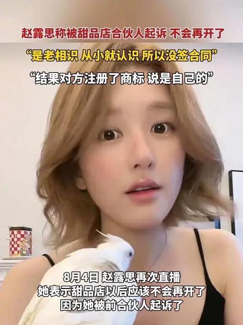 赵露思被甜品店合伙人背刺起诉
