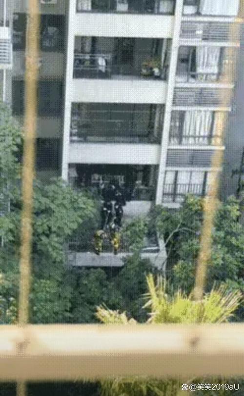 暴雨致街道被淹 眼镜蛇缠在窗户上