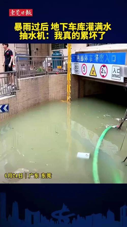 东莞一小区地下车库被积水灌满