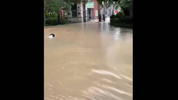 东莞一小区地下车库被积水灌满