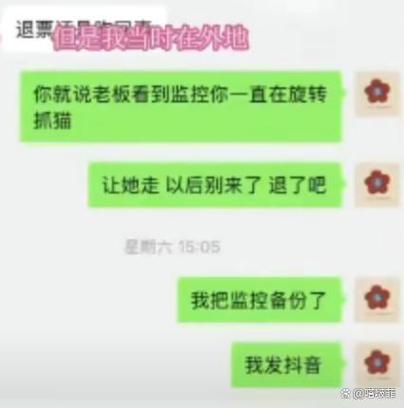 女子去猫咖包房虐猫致4只猫死伤